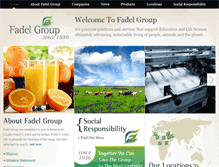Tablet Screenshot of fadelgroup.com